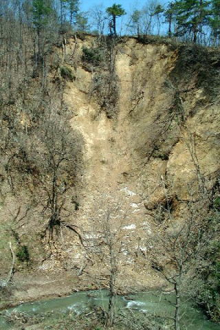 �F�s�͓ˑR�̓y������ɂ����C�y���ɖ��܂�܂����E�E�E�B