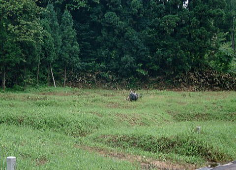 �O�@����