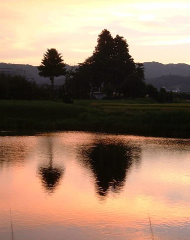 �₪�āC�H�ɂȂ���̐��ʂɉf�錎���Ⴆ�n��C���̉����ЂƂ��푛�������Ȃ��������̂��ƁE�E�E