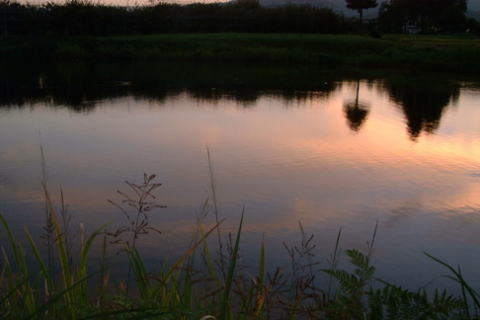 �E�E�E���������āC���̉̂��������ނƁC���Ɋ���悤�ɓ���C�Ԃ��Ԃ��Ɣg�𗧂ĂĒ���ł��܂��܂����B