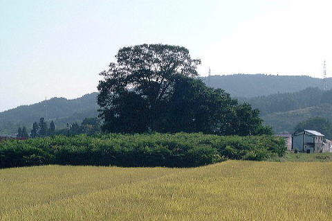 ����Ȃ���