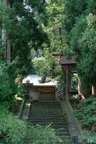 �򔨂̌��R�_��