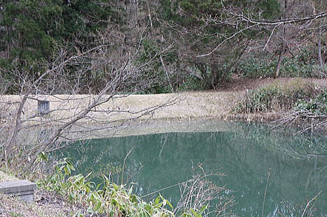 ���q�R��