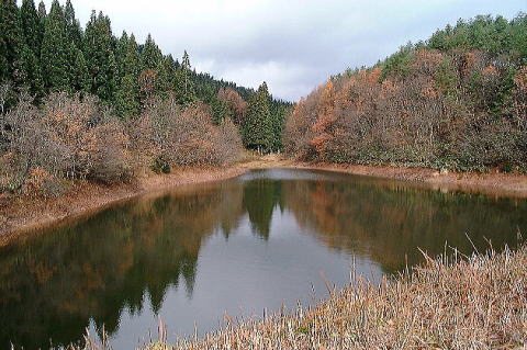 �����܂񂳂܂̂�